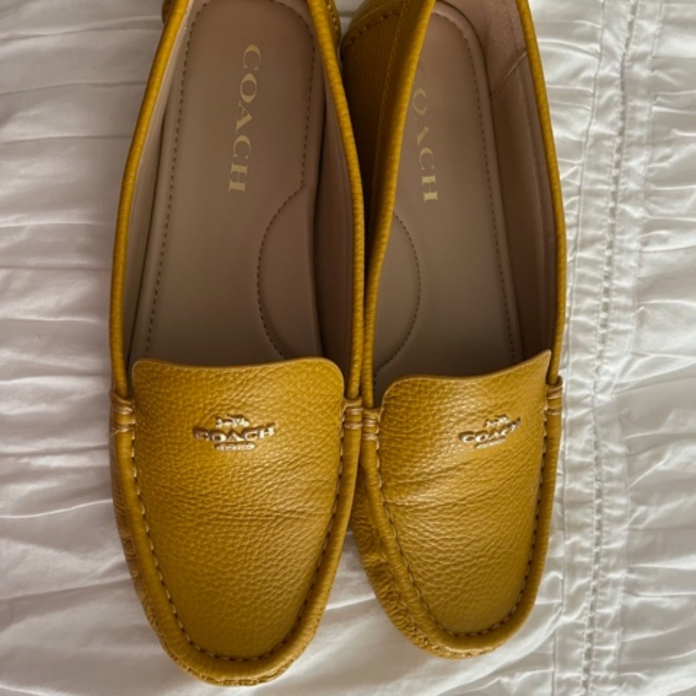 Coach Marley Drivers 8B